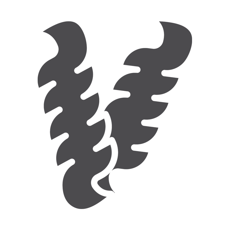 Pasta Type icon